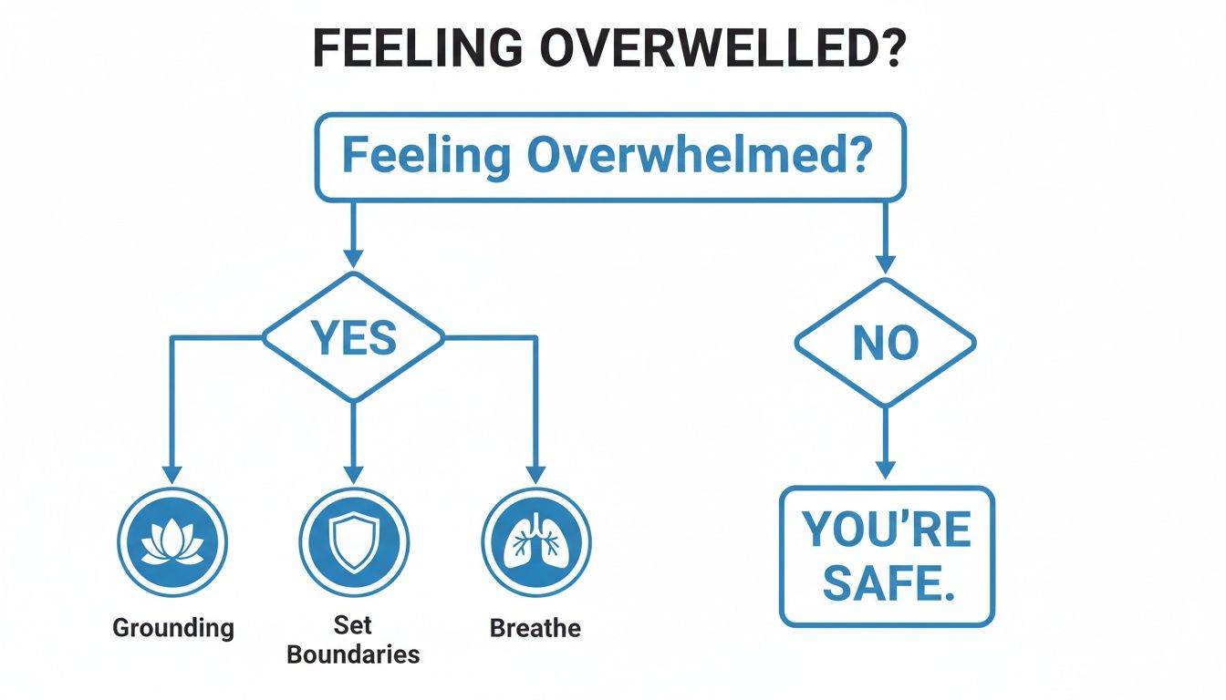 A flowchart titled 'Feeling Overwhelmed?' directs to Grounding, Set Boundaries, or Breathe if yes, and You're Safe if no.