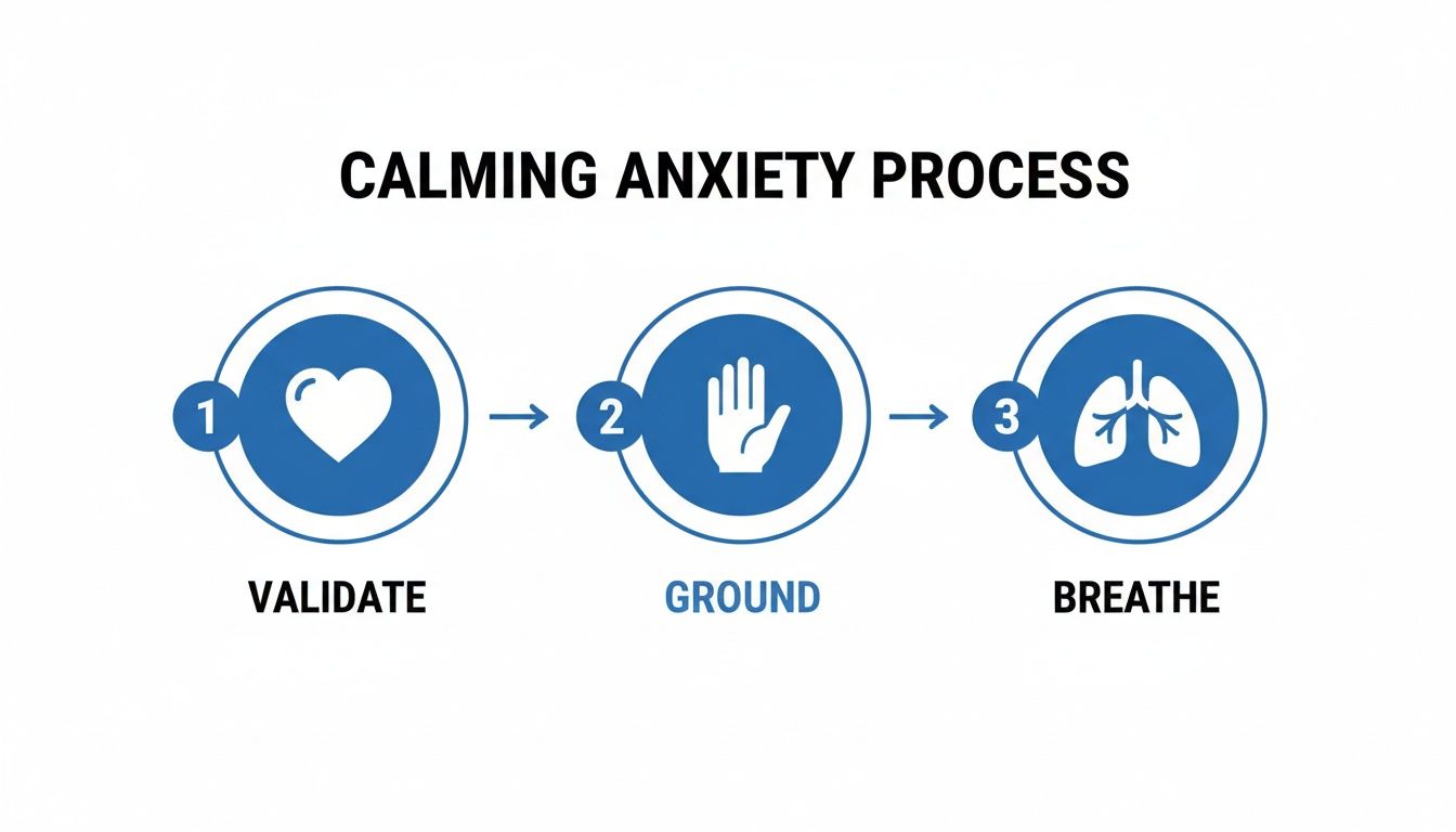 Diagram illustrating the three-step calming anxiety process: Validate, Ground, and Breathe.