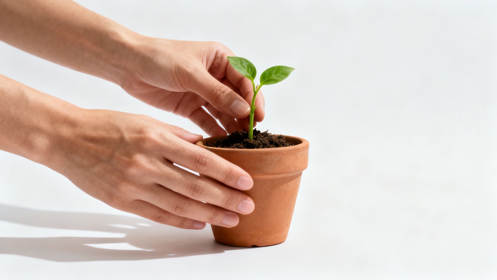 Achievement and Success Documentation