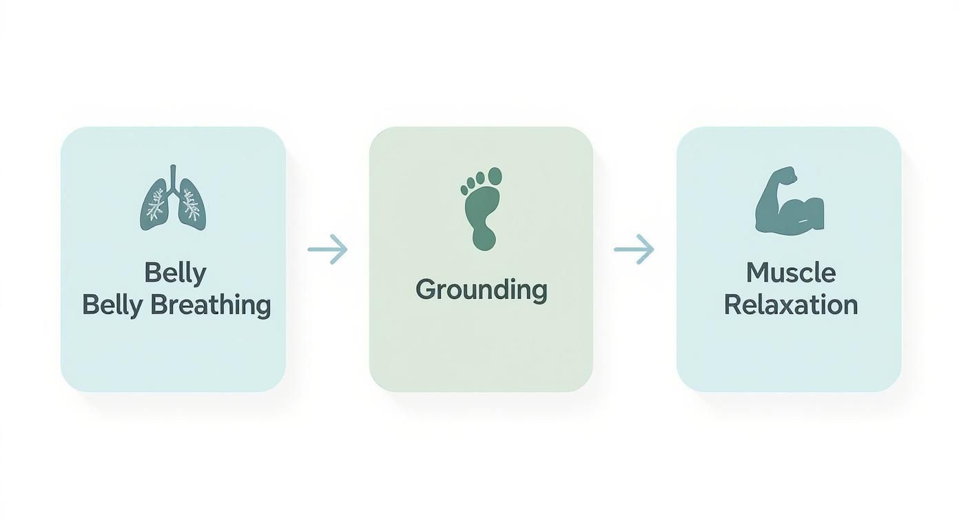 A three-step diagram illustrating belly breathing, grounding, and muscle relaxation techniques for stress relief.