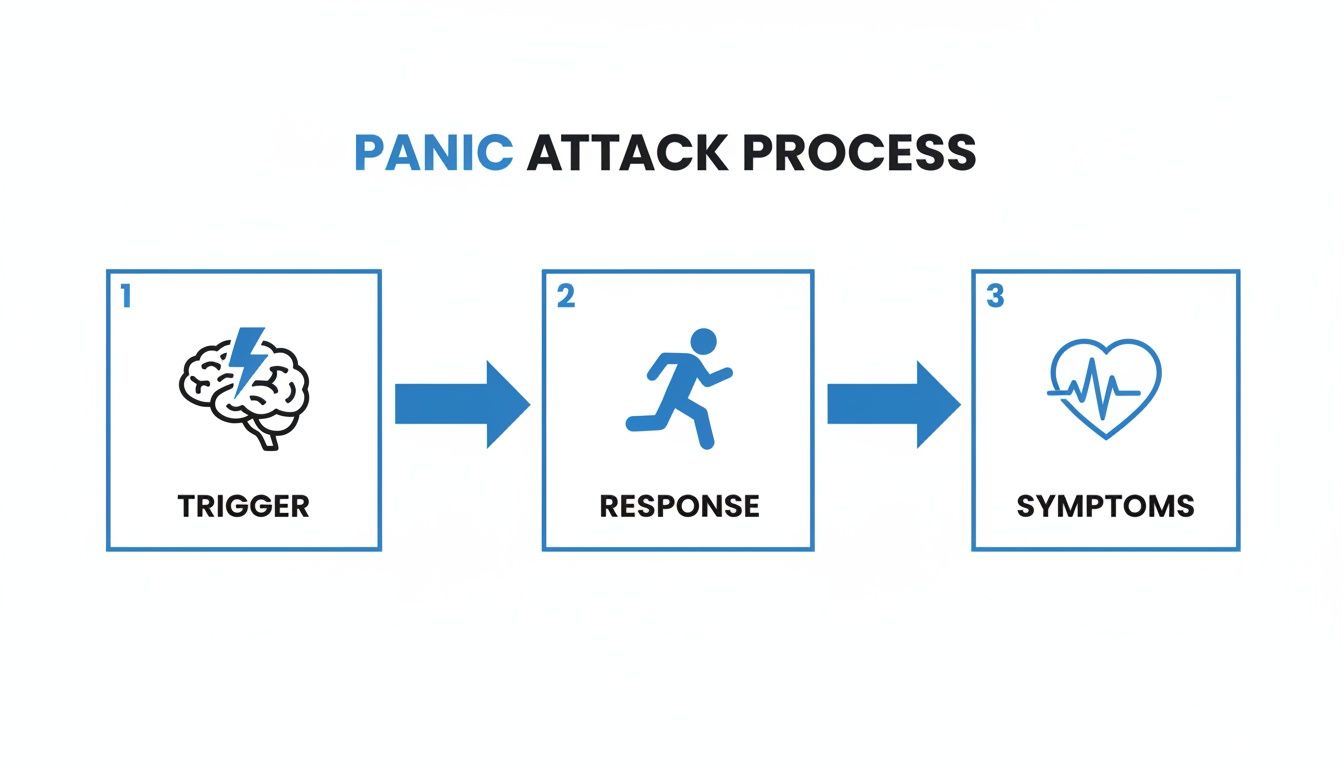 Flowchart illustrating the panic attack process: trigger, response, and symptoms with corresponding icons.