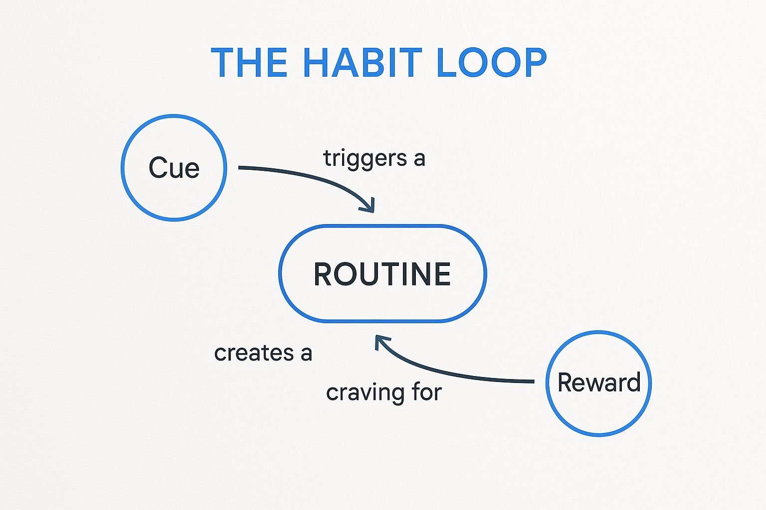 Infographic showing key data about The Power of Habit by Charles Duhigg