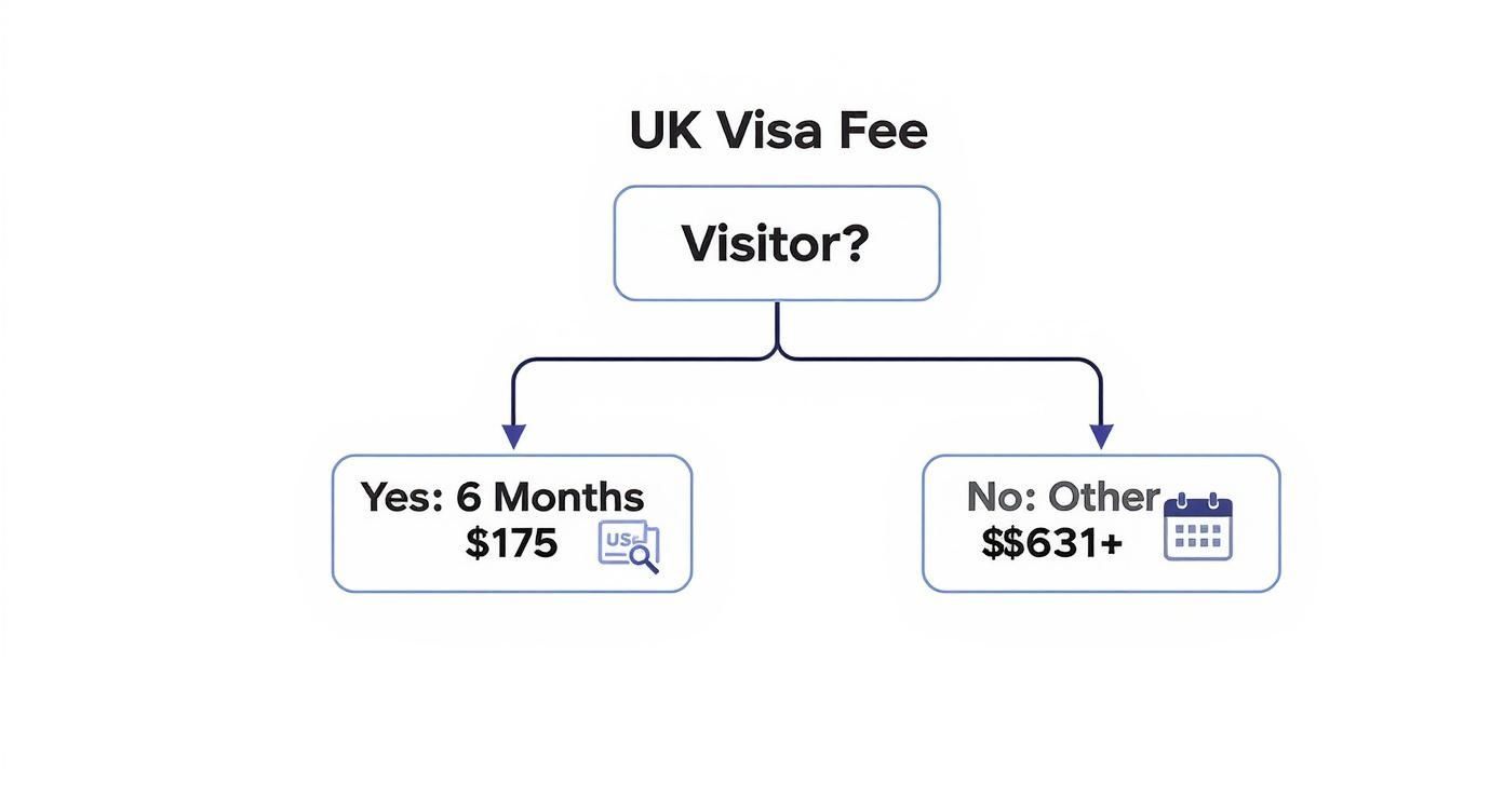 Infographic about how much is visa from nigeria to uk