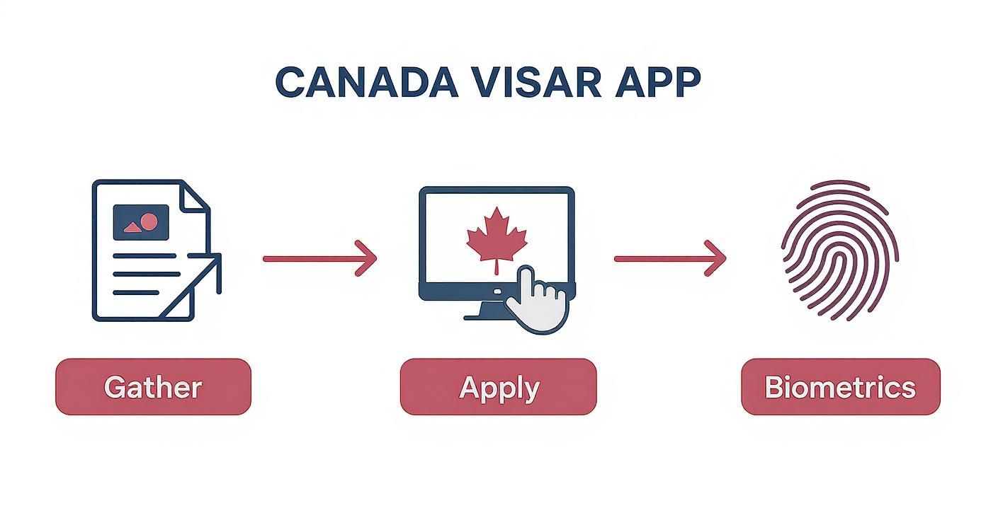 Infographic showing the three steps of the Canada visa application process: gather documents, apply online, and biometrics.