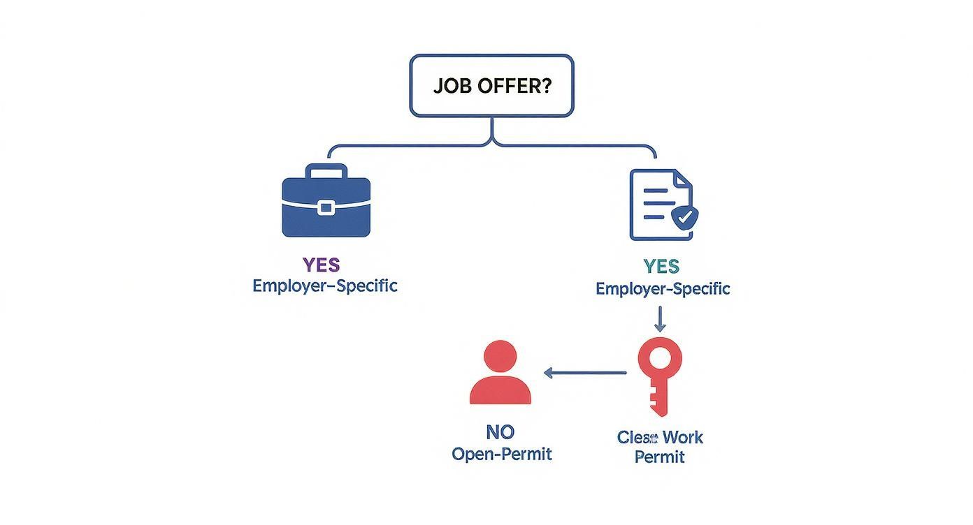 Flowchart illustrating job offer paths to employer-specific, closed work permits, and open permits.
