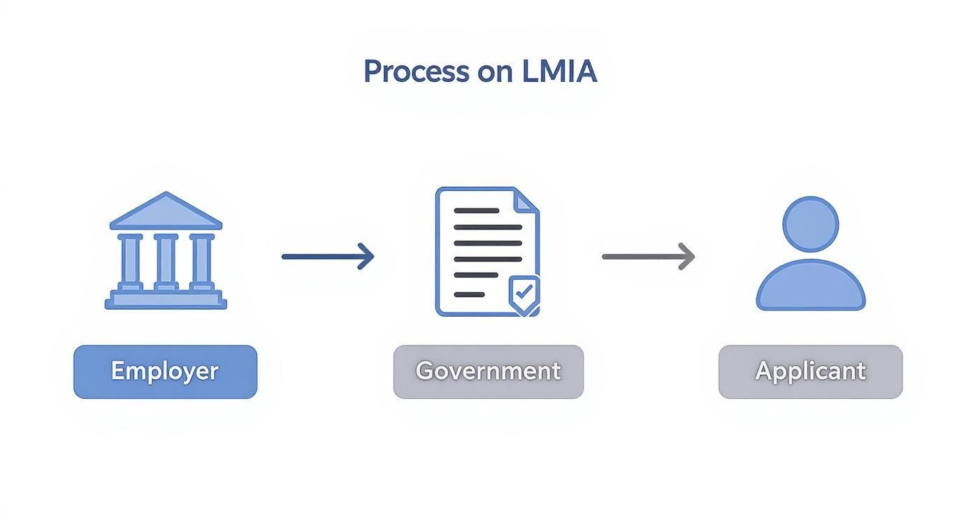 LMIA process flowchart showing employer, government document approval, and applicant stages for Canadian work permits