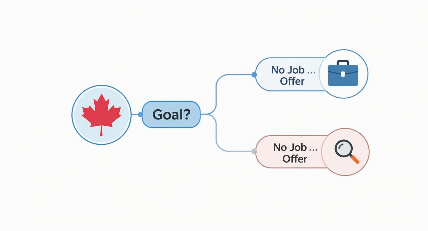 Infographic about how to get a work visa in canada
