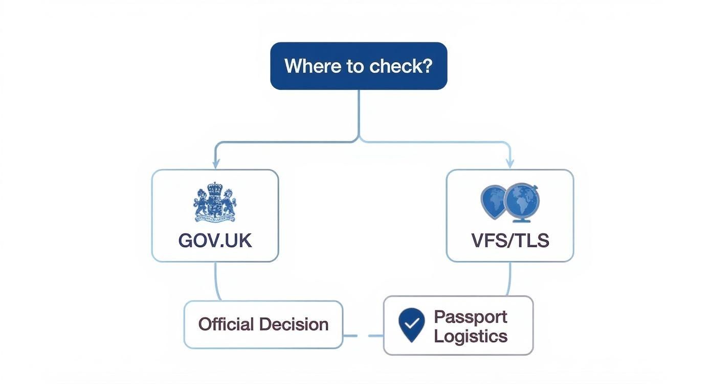 Infographic about visa application tracking uk