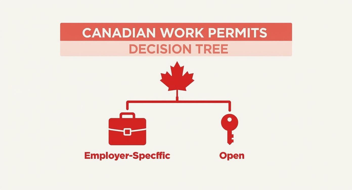 Infographic about work permit application canada