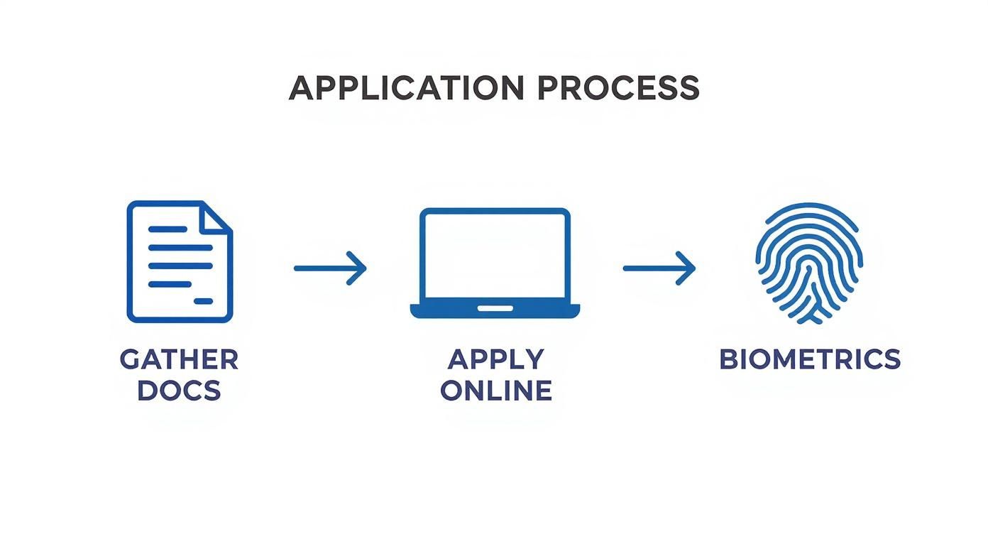 Infographic about how to obtain work permit in canada