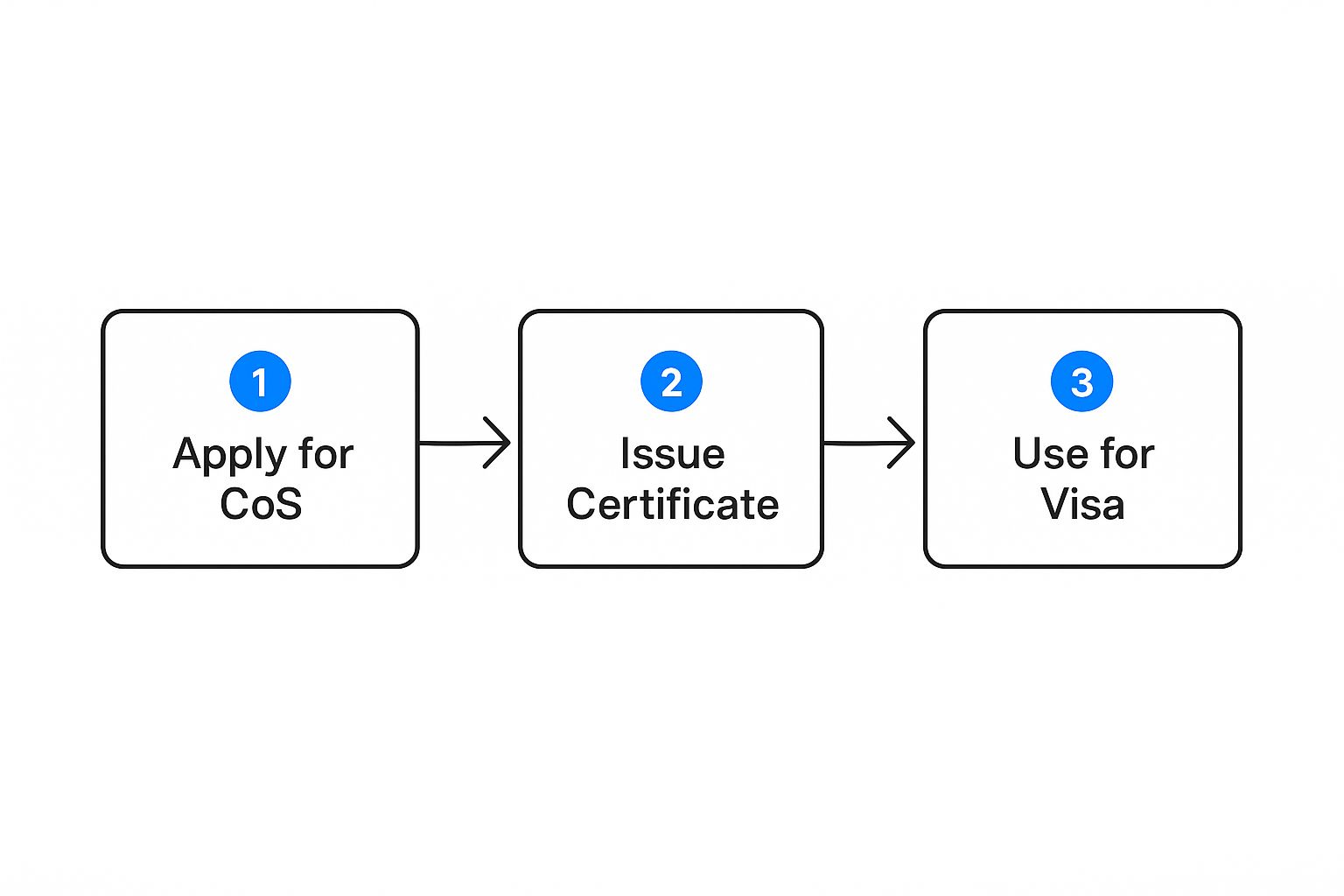 Infographic about certificate of sponsorship