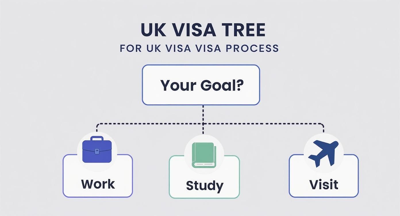 UK visa application decision tree flowchart showing three pathways: work, study, and visit options