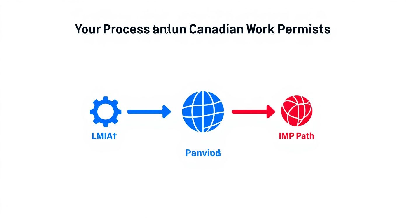 Infographic about job permit canada