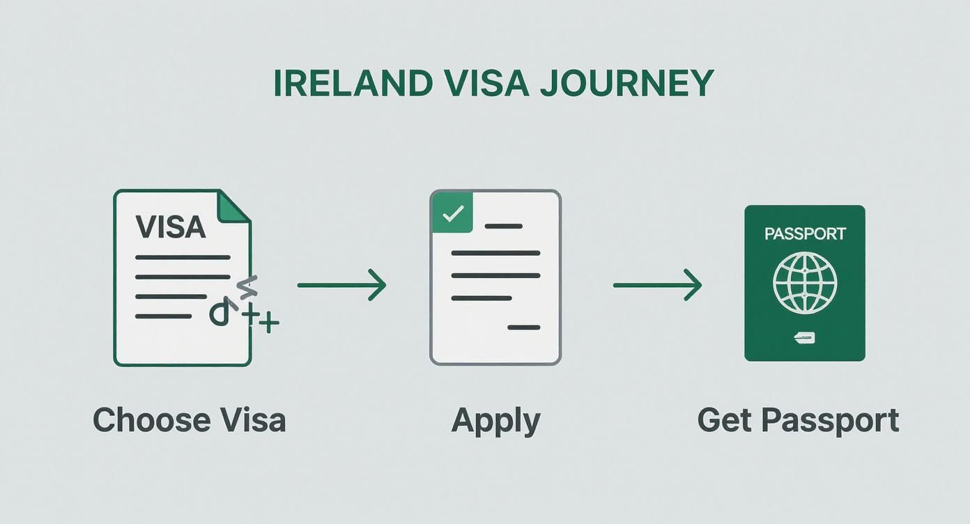 Three-step Ireland visa application journey showing visa selection, application form submission, and passport issuance process