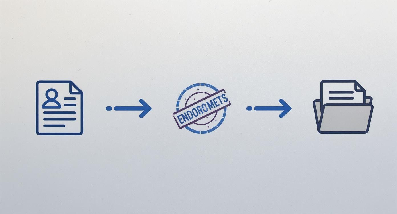 An infographic showing the process flow for building a visa application, with icons for Personal Story (CV), Endorsements (stamp), and Proof (folder).