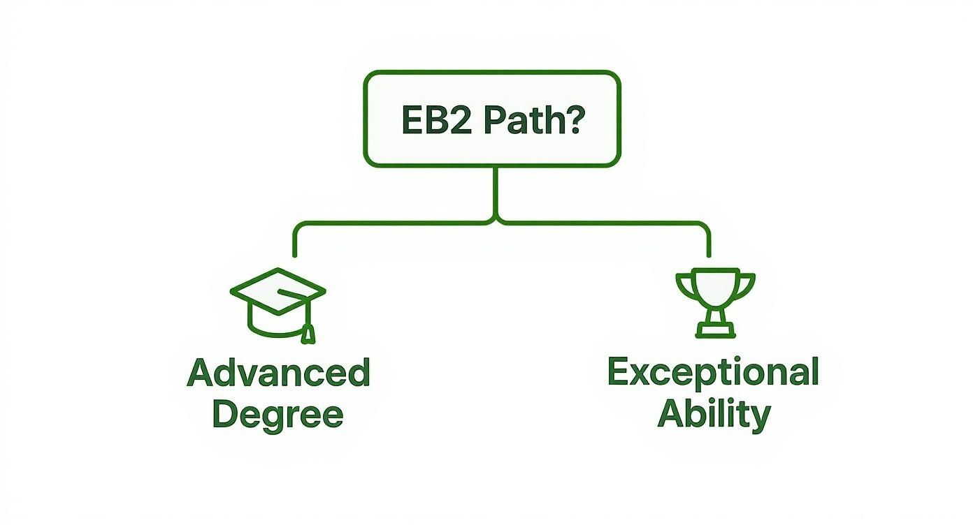 Flowchart illustrating the EB2 visa path, showing two distinct criteria: Advanced Degree and Exceptional Ability.