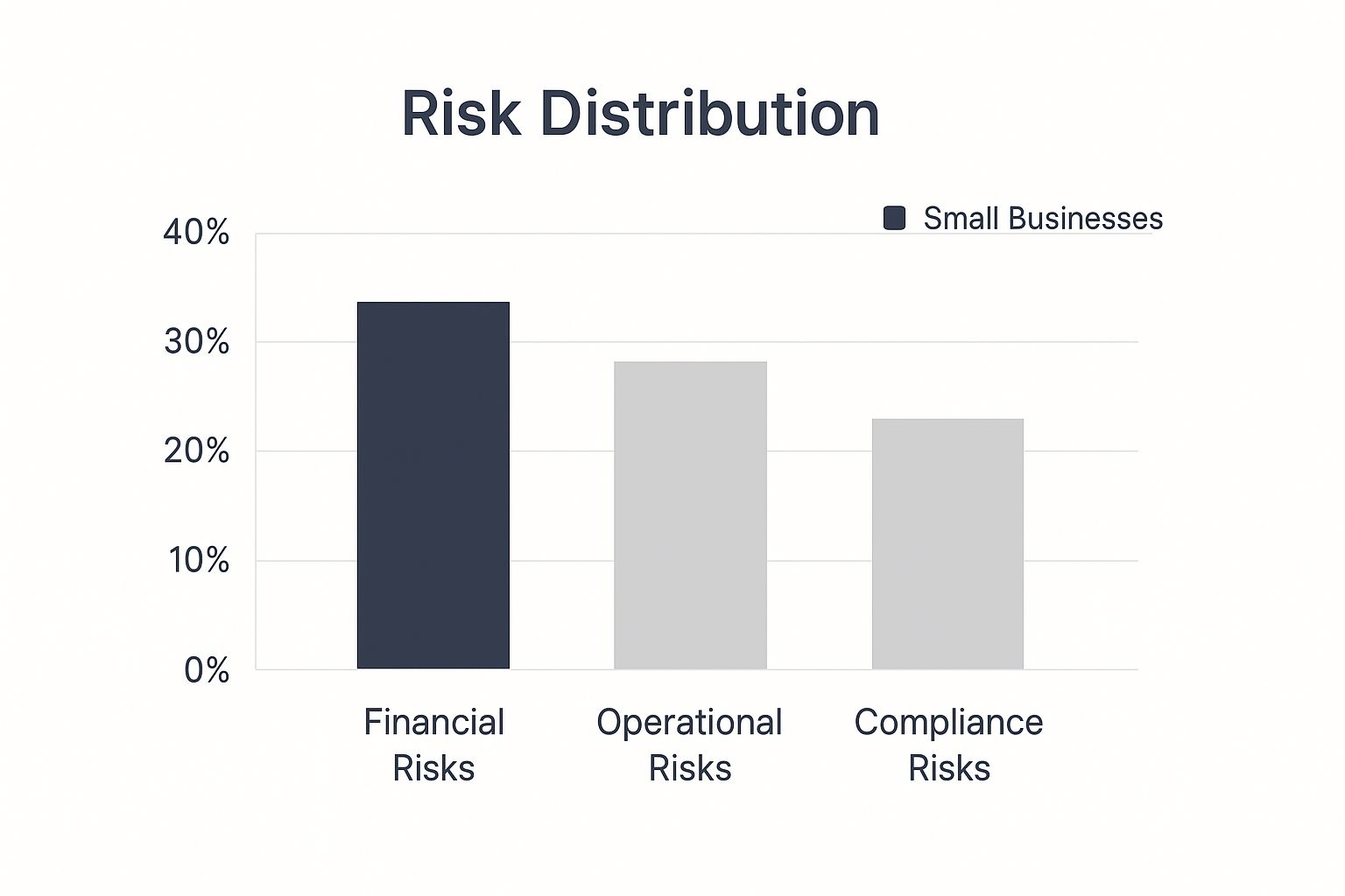 Infographic about risk assessment for small business