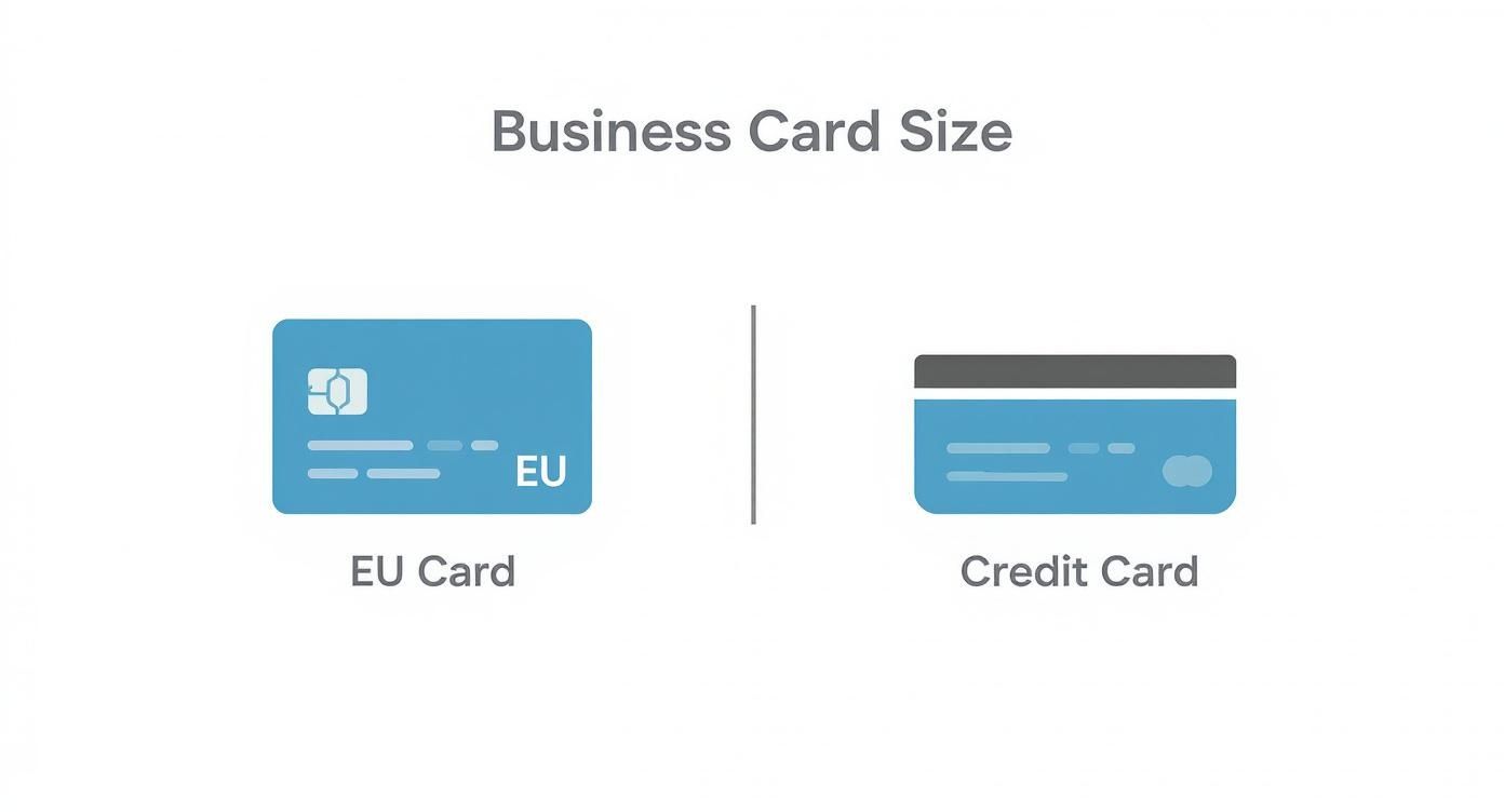 Infographic about business card dimensions in cm