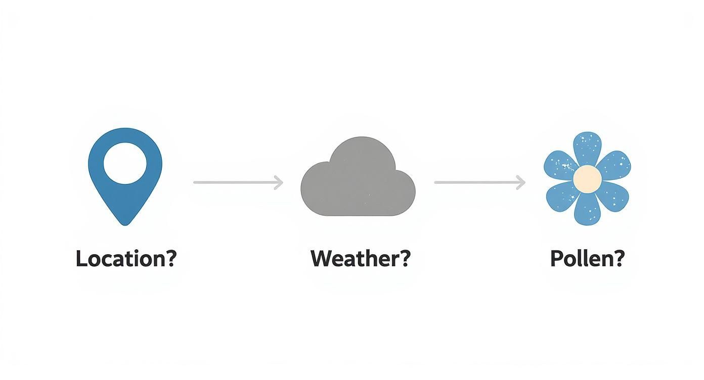 Location pin, weather cloud, and pollen flower icons showing allergy tracking progression diagram