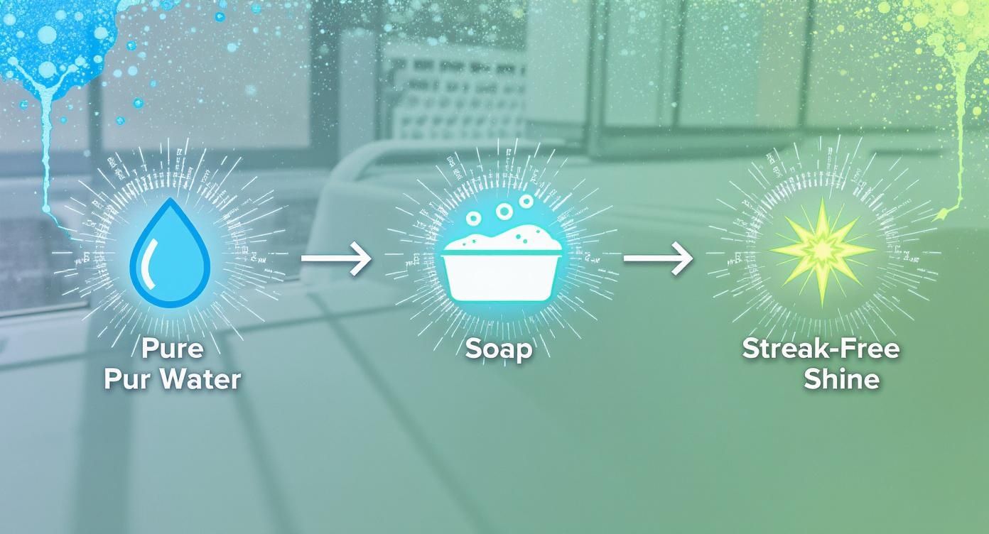 Infographic about what do professional window cleaners use