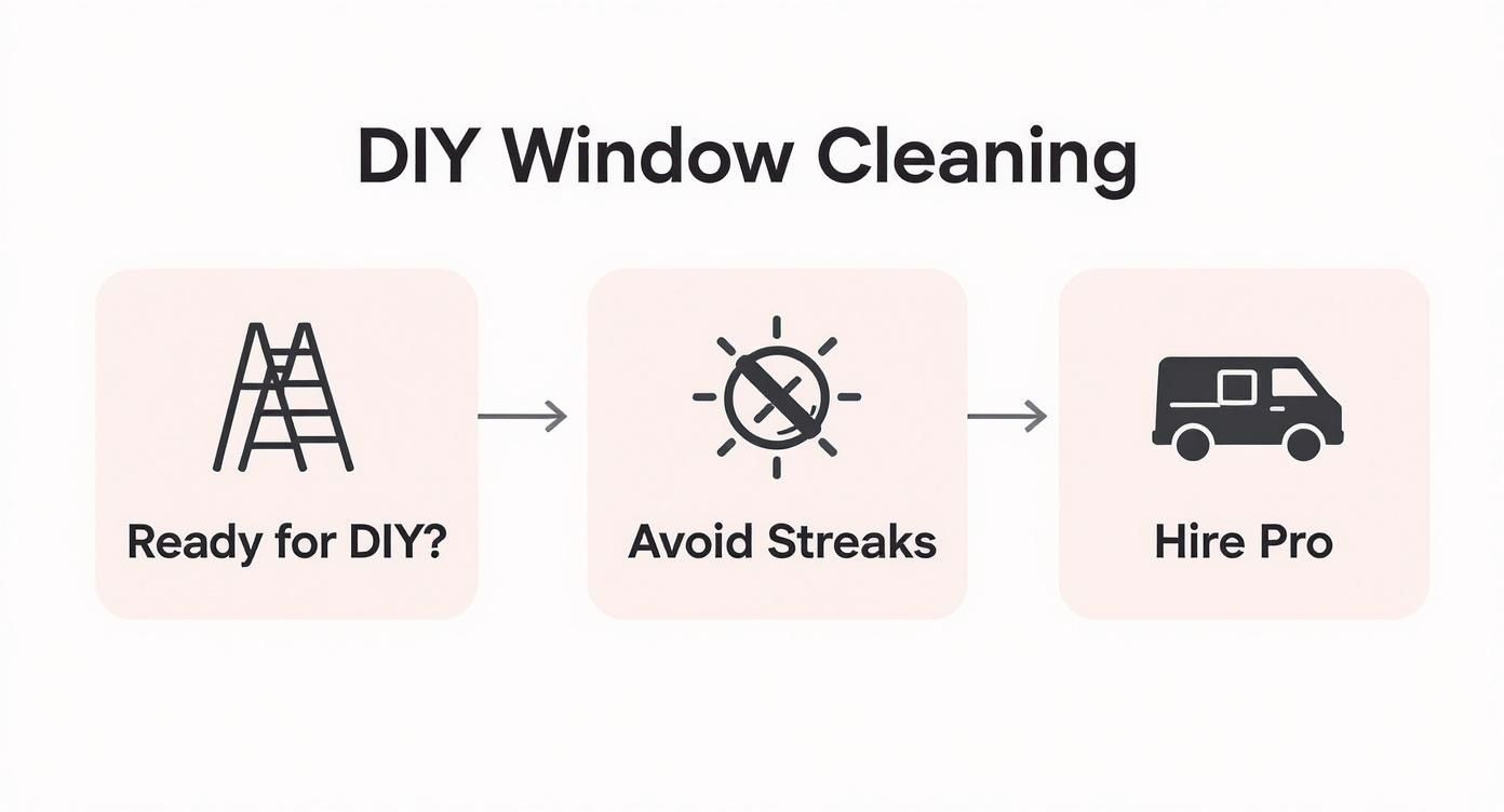 A flowchart for DIY window cleaning showing steps: 'Ready for DIY?', 'Avoid Streaks', and 'Hire Pro'.