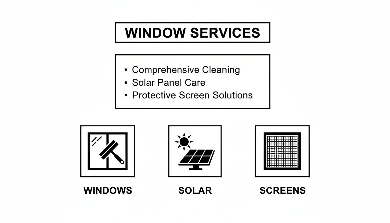 An infographic detailing window services, including comprehensive cleaning, solar panel care, and protective screen solutions.