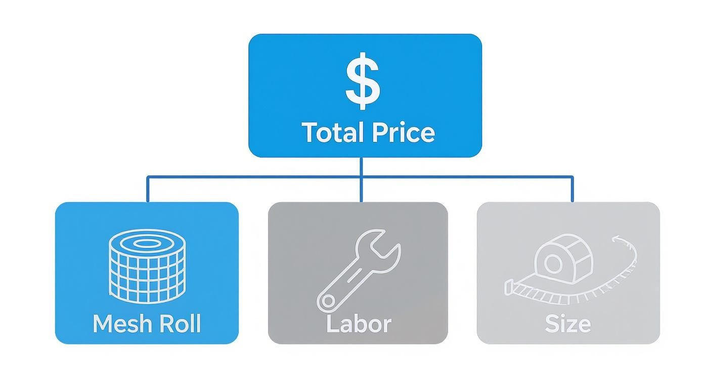 Infographic about window screen replacement cost