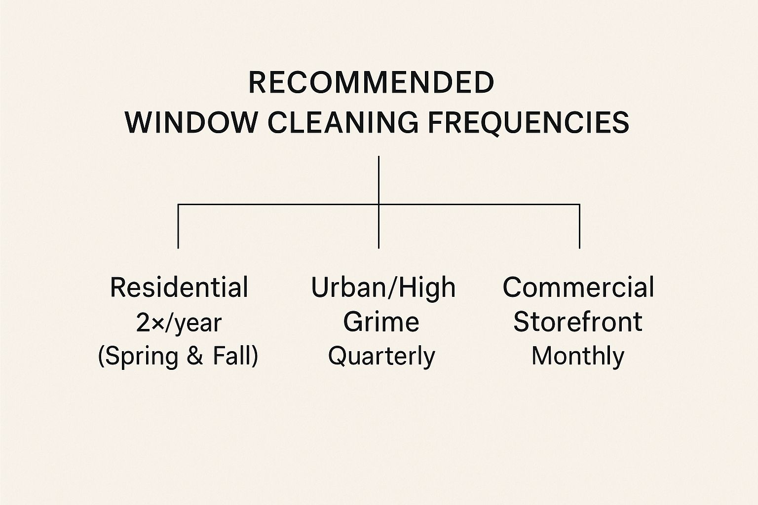 Infographic about how often should windows be cleaned