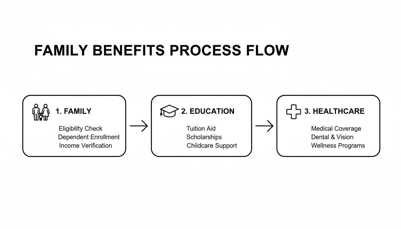 A flow chart illustrating the family benefits process covering family, education, and healthcare steps.