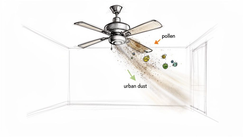 A dirty ceiling fan disperses pollen and urban dust into a room, illustrating indoor air pollution.
