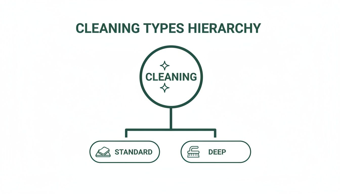 A cleaning types hierarchy chart showing 'Cleaning' as the main category, branching into 'Standard' and 'Deep' cleaning.