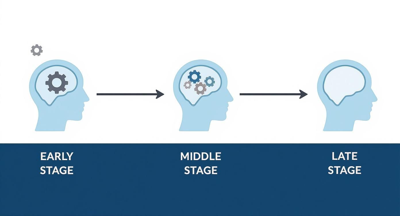 Infographic about what is alzheimer's disease