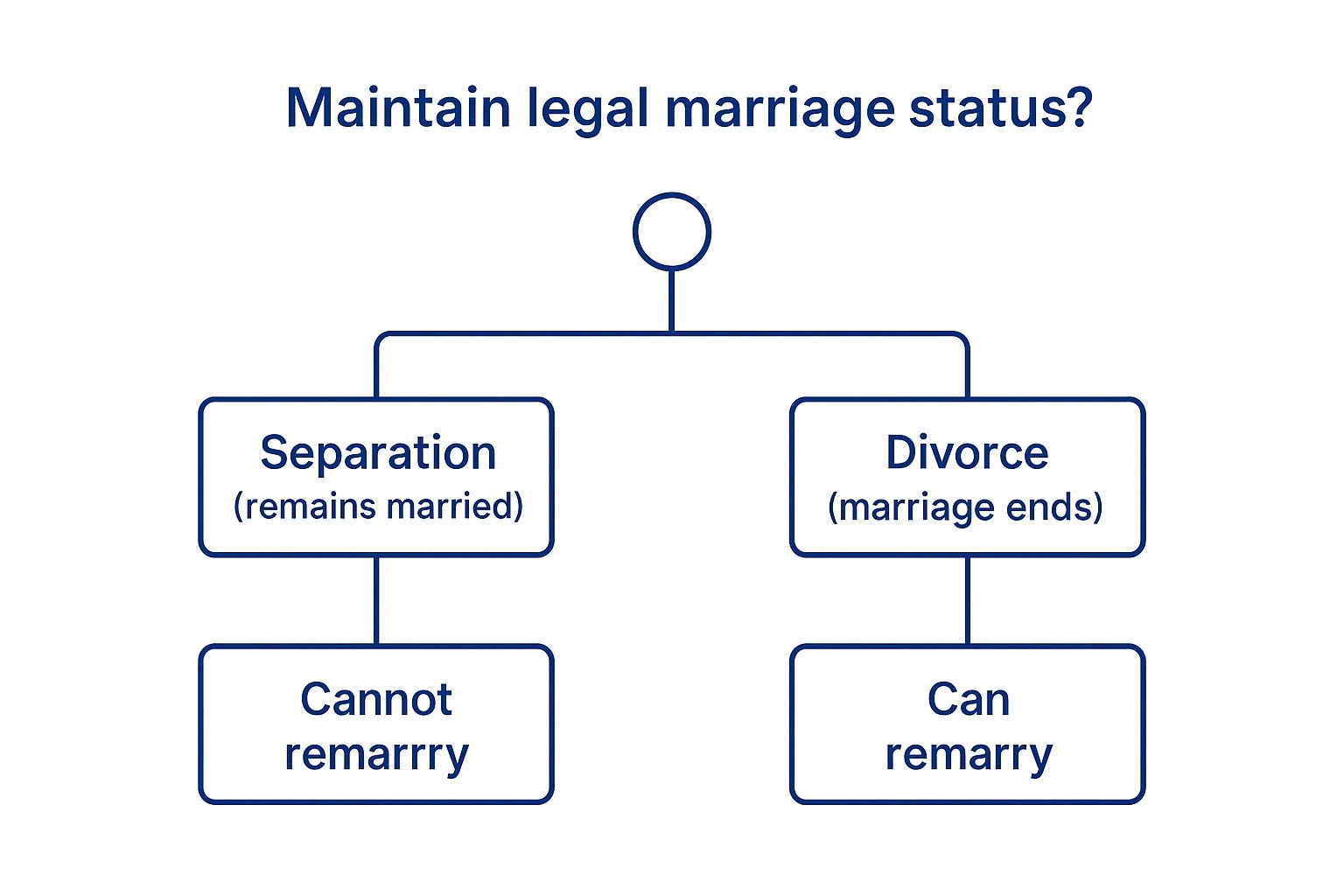 Infographic showing key data about Legal Status Distinction