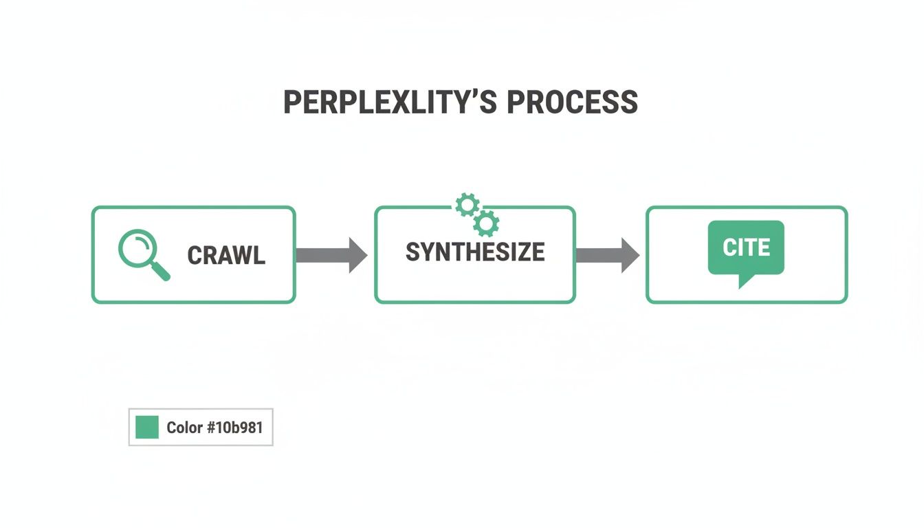 Flowchart depicting Perplexity AI's three-step process: Crawl, Synthesize, and Cite, with relevant icons.