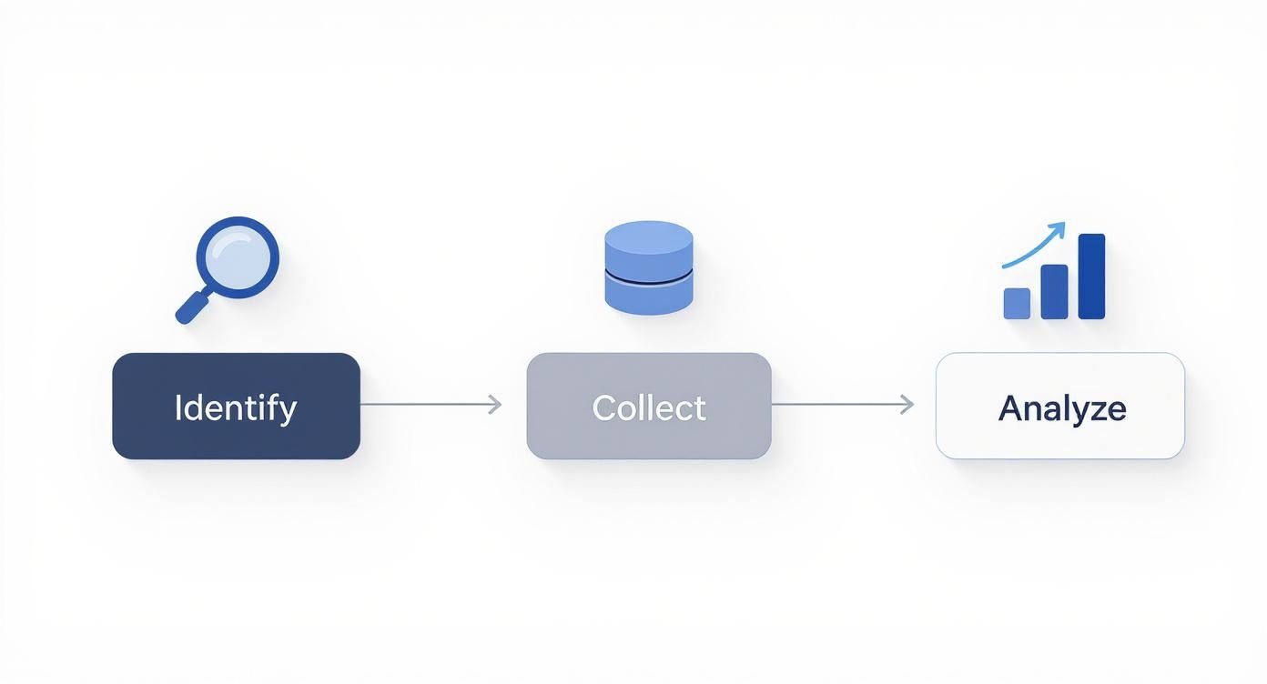 Infographic illustrating a three-step data process: identify, collect, and analyze data for insights.
