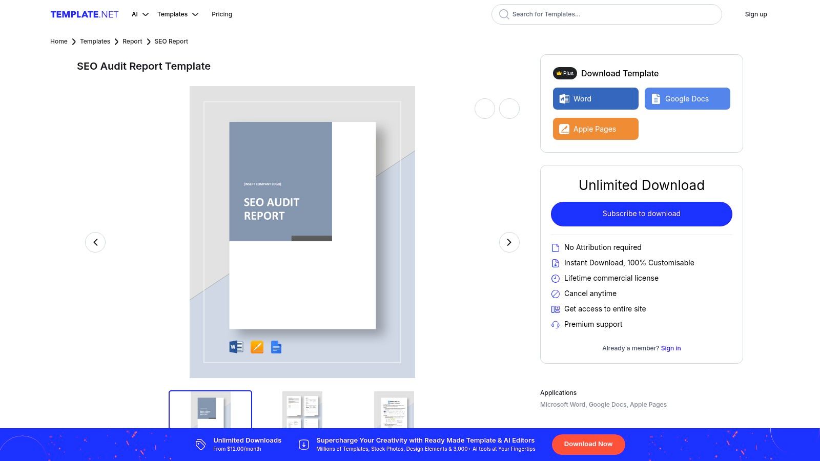 Template.net SEO Audit Report Sample