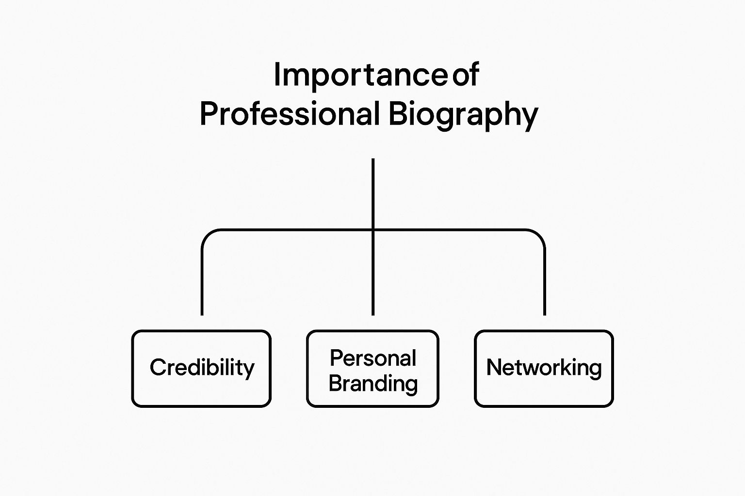 Infographic about what is a professional biography