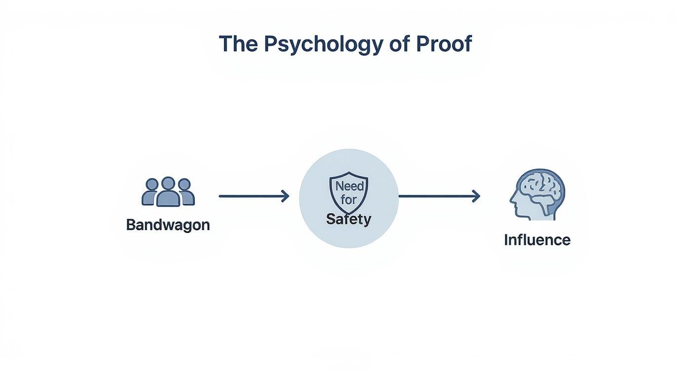 Flow chart showing psychology of proof: bandwagon effect leads to need for safety resulting in influence
