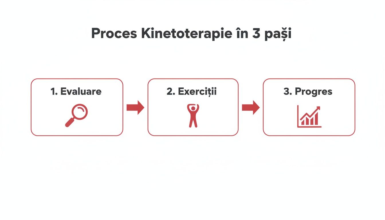 Diagrama vizuală detaliază procesul de kinetoterapie în trei etape: evaluare, exerciții și progres.