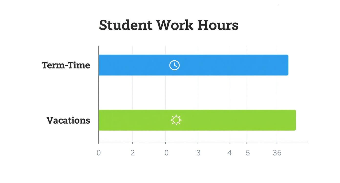 Infographic about part time jobs international students