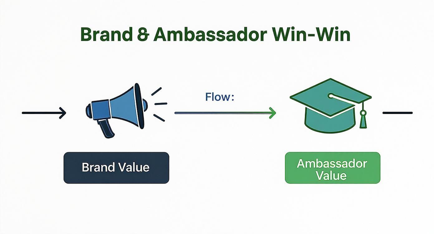 Diagram showing brand and ambassador value exchange flow creating mutual benefits in partnership programs