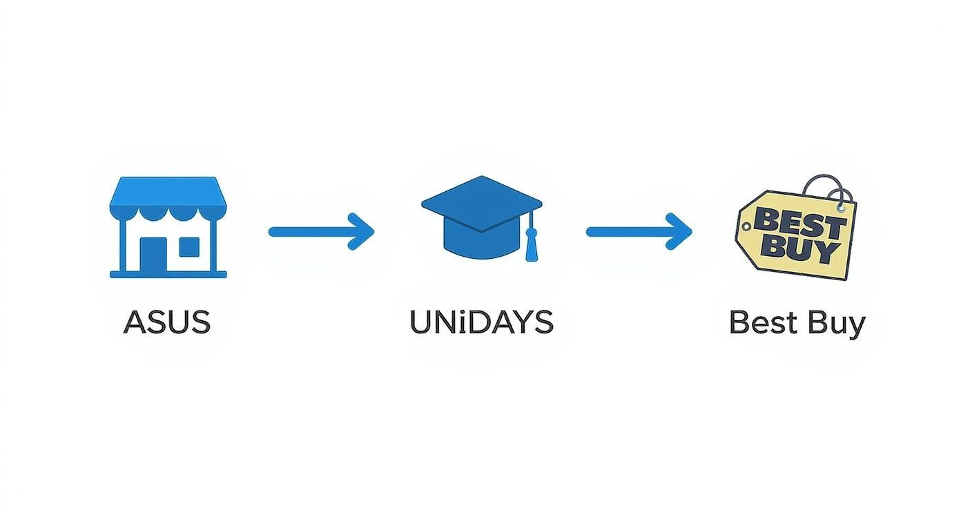 student discount asus laptops: ASUS Laptops Savings Guide 1 Infographic about student discount asus laptops