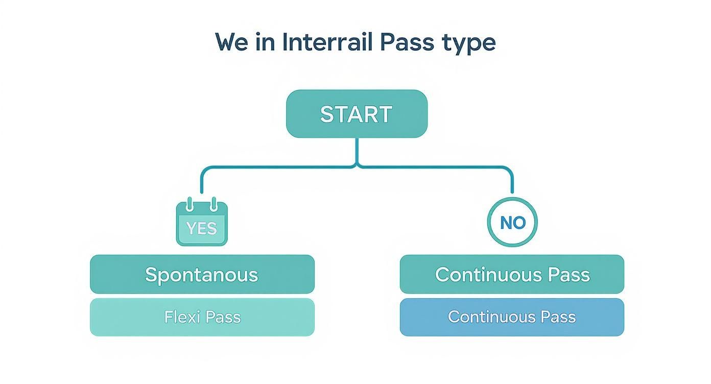 Your Guide to the Interrailing Pass Europe 1 Infographic about interrailing pass europe
