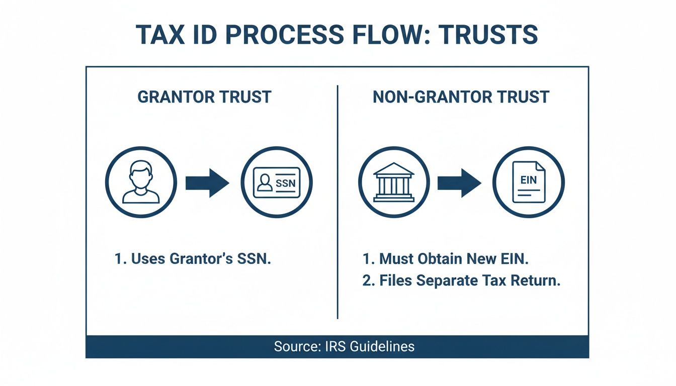 Flowchart illustrating the tax ID process for grantor versus non-grantor trusts, detailing SSN and EIN usage.