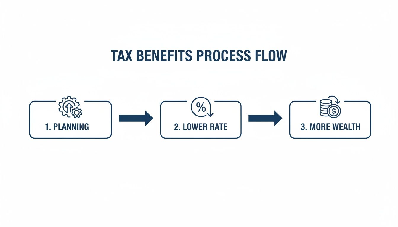Tax benefits process flow diagram illustrating planning, leading to a lower rate, and ultimately more wealth.