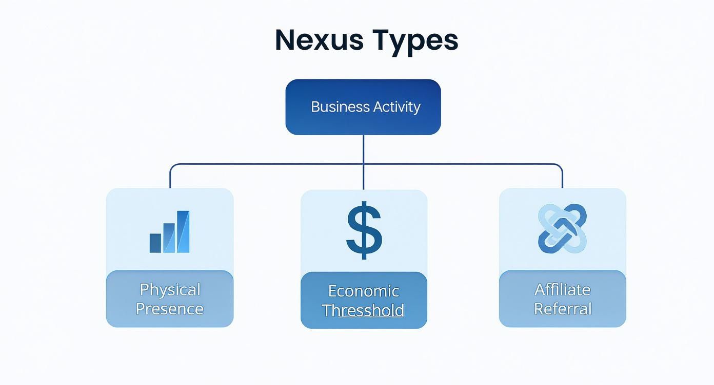 Diagram illustrating Nexus Types for Business Activity, including Physical Presence, Economic Threshold, and Affiliate Referral.