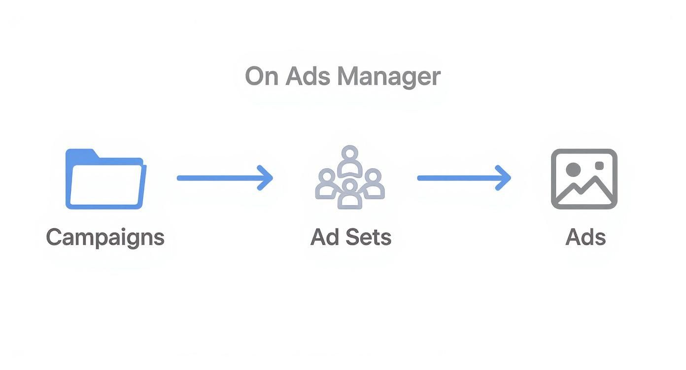 This diagram illustrates the hierarchical structure within an ads manager, from campaigns to ad sets to individual ads.