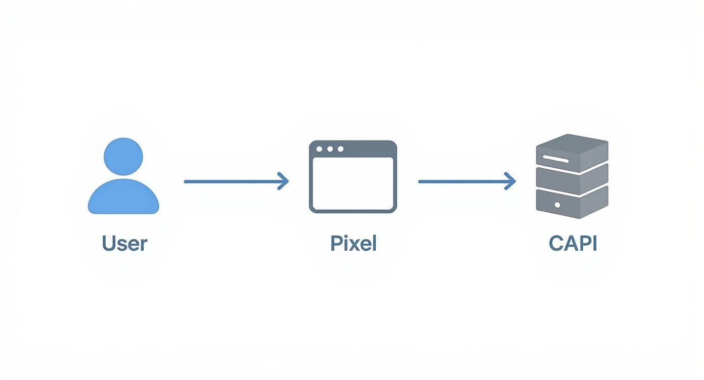 A diagram illustrates the data flow from a User to Pixel, then to CAPI for ad tracking.