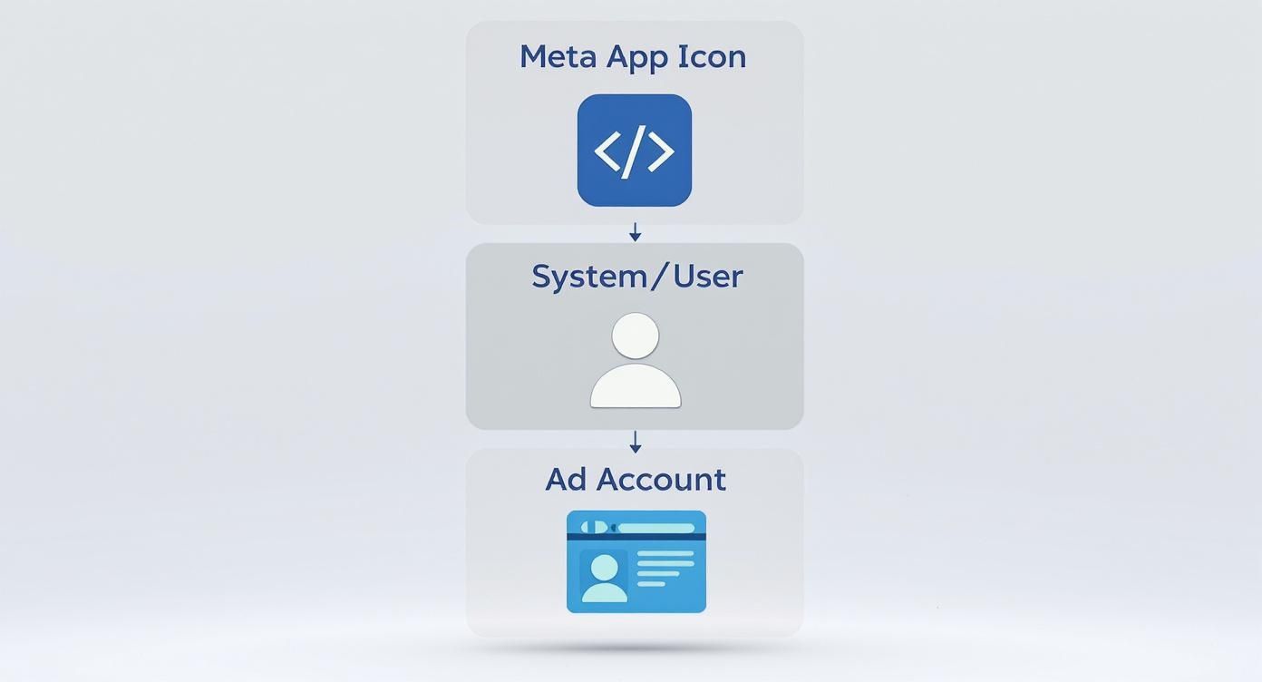Facebook Ads API hierarchy flowchart showing Meta App Icon connecting to System User and Ad Account