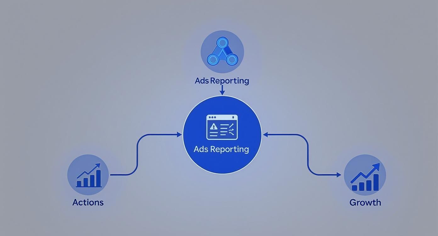Infographic about facebook ads reporting
